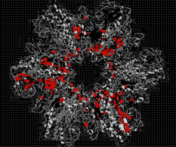 EMD-8064 (RSCB PDB 5HX2) T4 Baseplate Protein Has Similar, 54% OFF